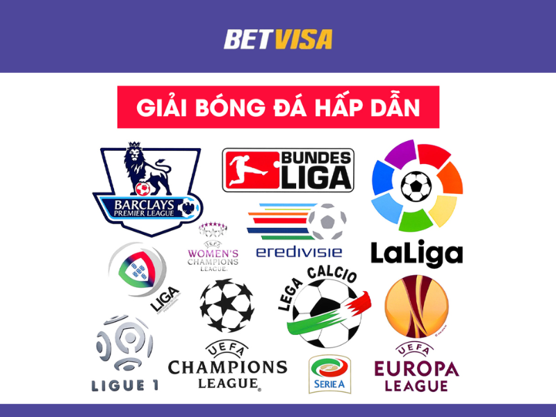 Thể thao Betvisa đa dạng các giải bóng đá